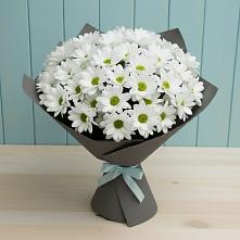 Букет цветов из:  Хризантемы #REPLACE_PRED# Спас-Клепиках