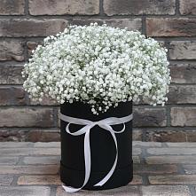 Цветочная композиция из Гипсофила в шляпной коробке #REPLACE_PRED# Спас-Клепиках