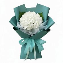 Букет цветов из:  Гортензия #REPLACE_PRED# Спас-Клепиках